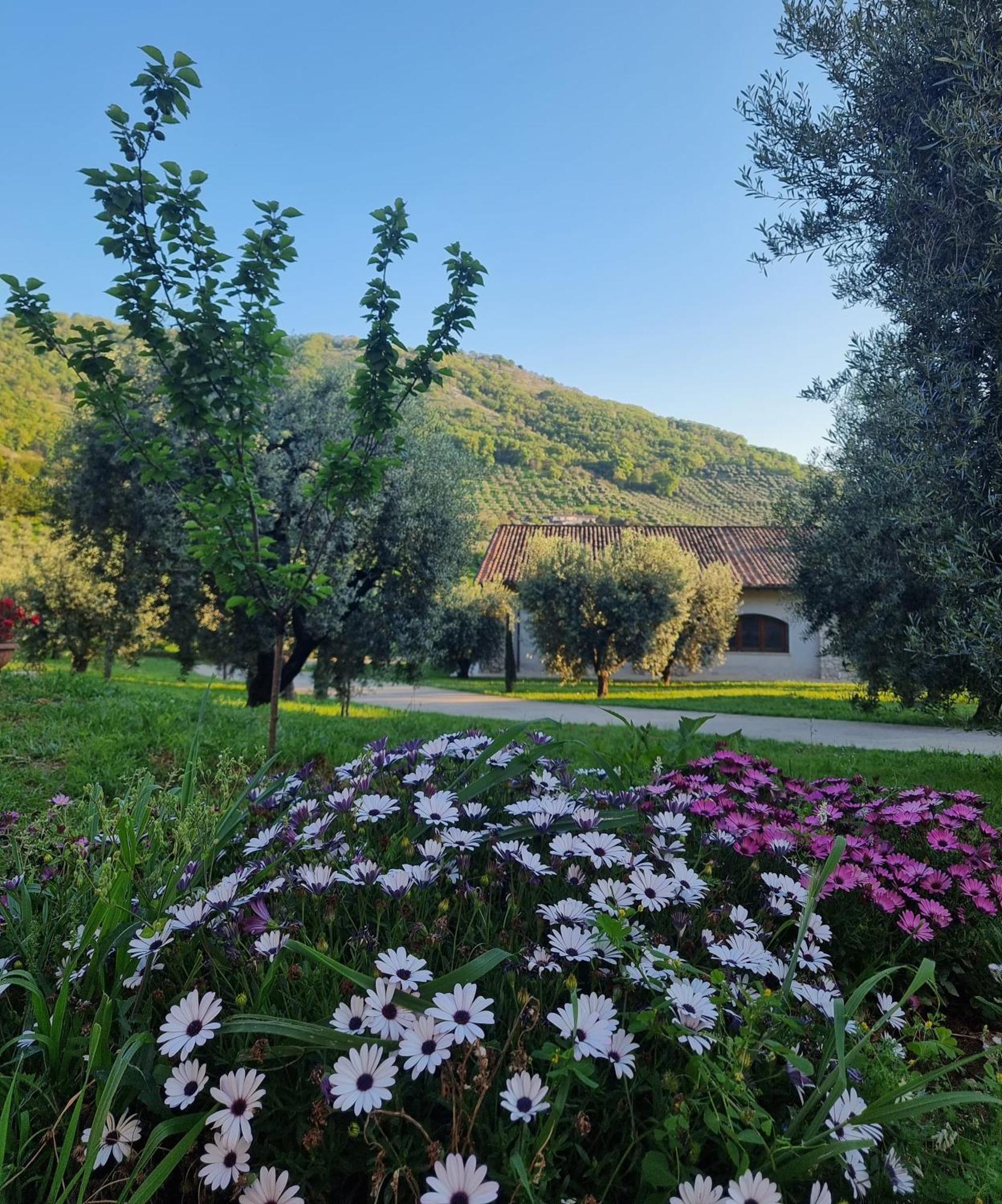 Bed and Breakfast Casale Dei Priori Rocca Massima Exterior foto